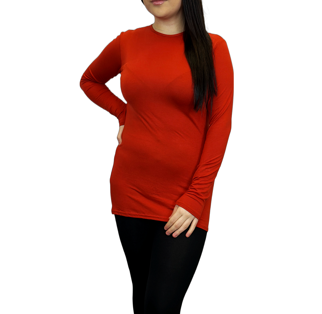 Ladies Long Sleeve T-Shirt Top